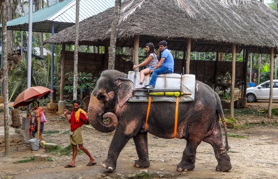 Family Getaway to Kerala